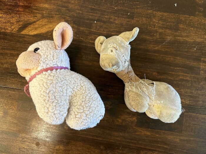 These Are The Same Stuffed Animal - One From Storage, The Other Loved For 30+ Years