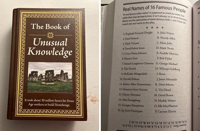 Did You Know?: The Book Of Unusual Knowledge Is A Best Selling Amongst Bored Pandas Everywhere!