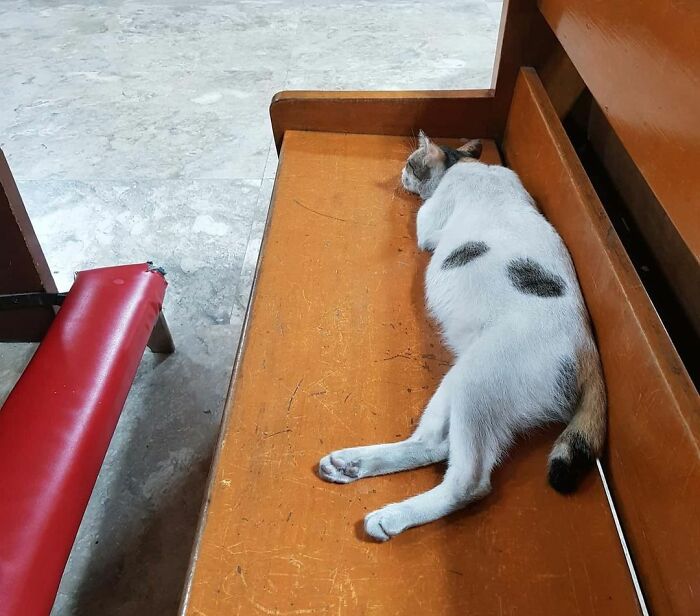 I'm Too Early, So I'll Take A Nap Before The Mass Starts