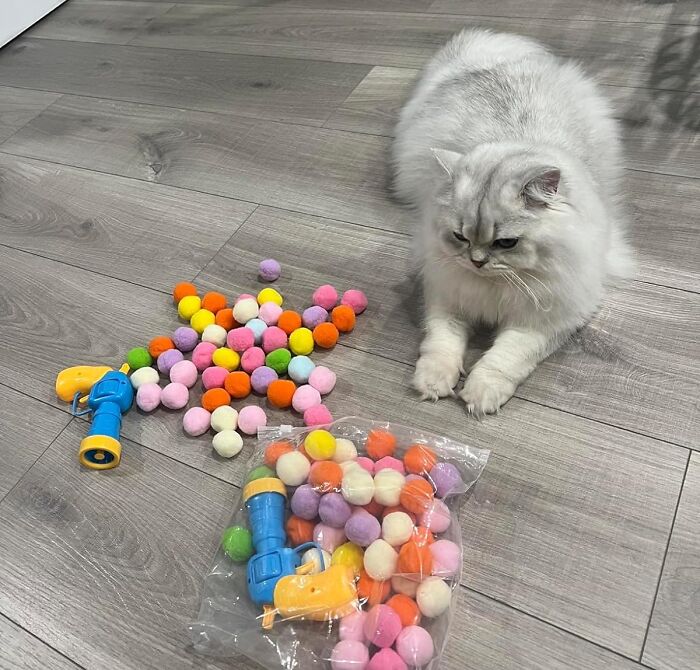  Cat Toy Balls With Launchers Set : Because OF COURSE Your Cat Needs A Nerf Gun