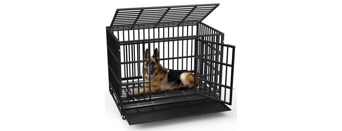 Lemberi Heavy Duty Dog Crate