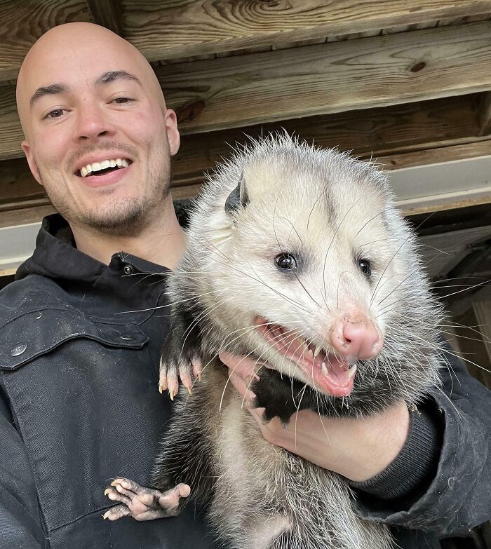 Found A Stray Cat In My Garage This Morning