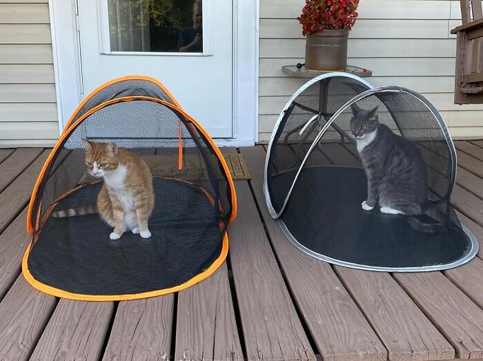 Let Your Indoor Cat Enjoy The Outdoors From The Safety Of A Pop Up Cat Tent