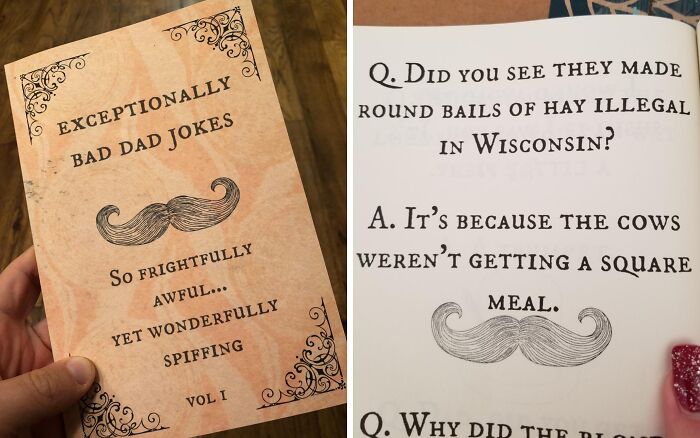 Do You Hate Somone Enough To Pun-Nish Them With This Book Of Dad Jokes?