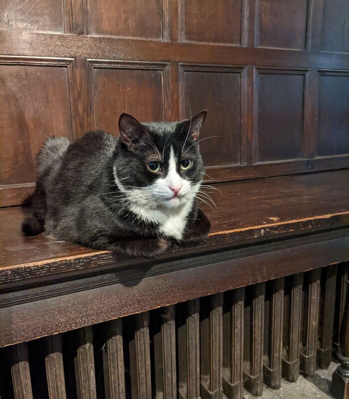 Meet Hodge, The Resident Verger Of Southwark Cathedral, London