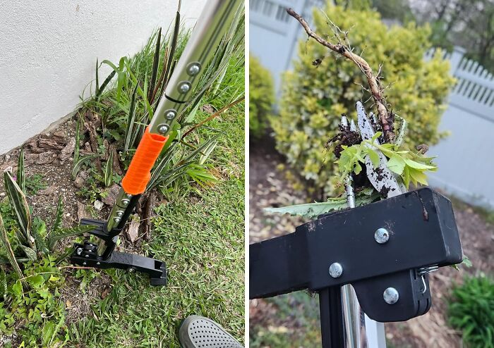This Weed Puller Tool Will Have Your Garden Spick And Span In No Time
