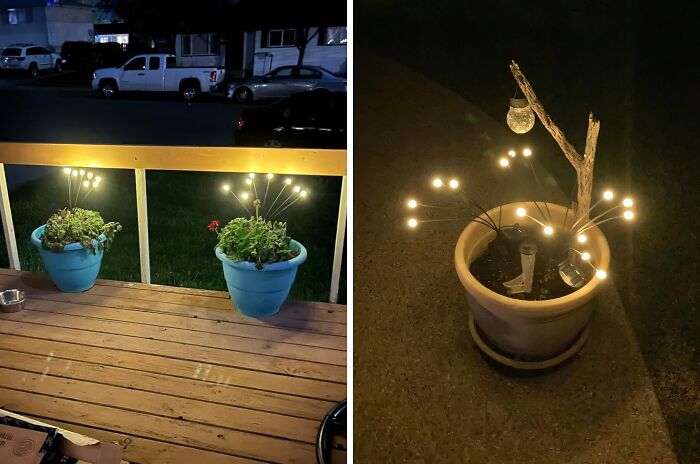 These Solar Garden Lights Turn Your Outdoor Area Into A Fairy Wonderland
