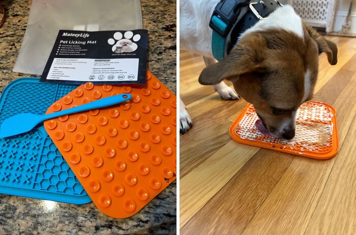 Keep Those Tongues And Tails Wagging With This Lick Mat For Dogs And Cats 