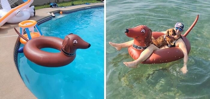  Wiener Dog Inflatable Raft: Unicorn And Flamingo Floaties Are SO Last Season