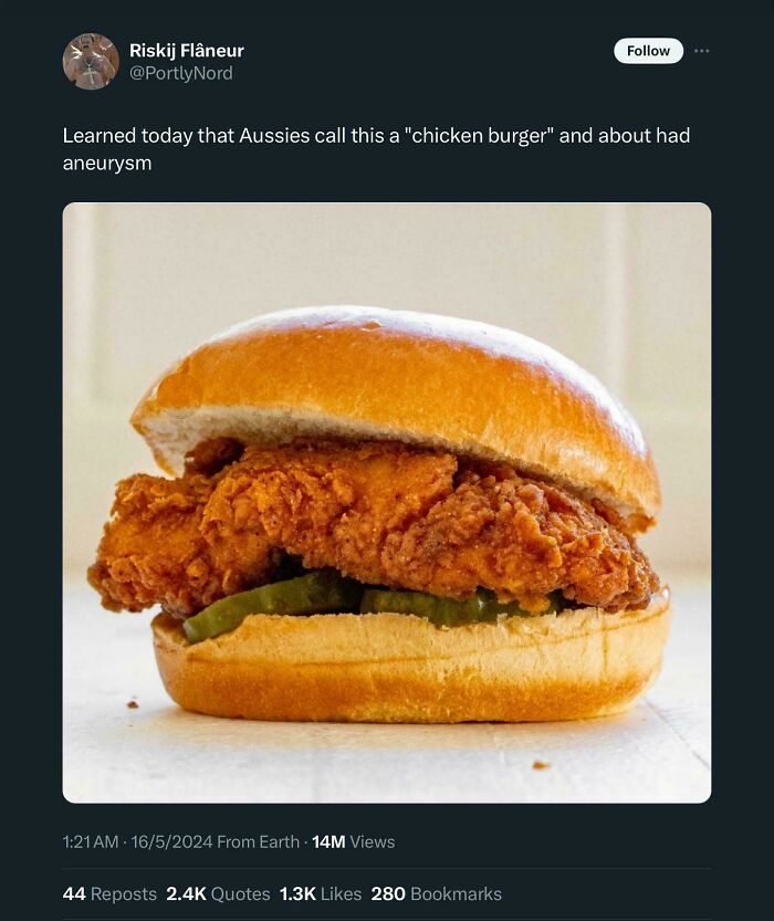 Thats A Chicken Burger. You Can’t Prove Me Otherwise