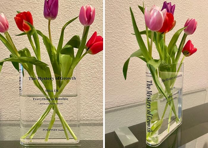 Add Some Freshness To Your Space With This Bookend Vase For Flowers 