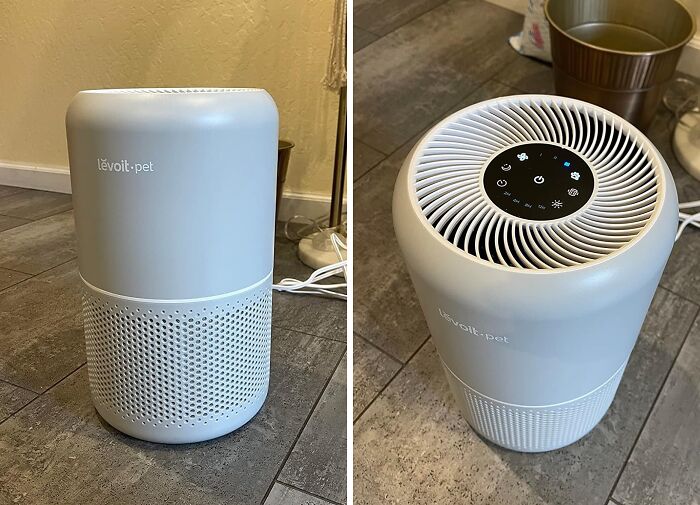 This Air Purifier Is A Breath Of Fresh Air