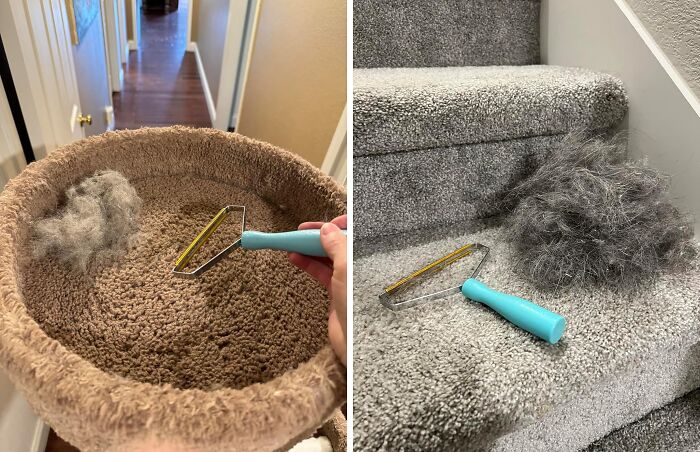 Spend Less Time Cleaning Up After Your Pet Than Actually Playing With Them Thanks To This Pet Hair Removal Brush 