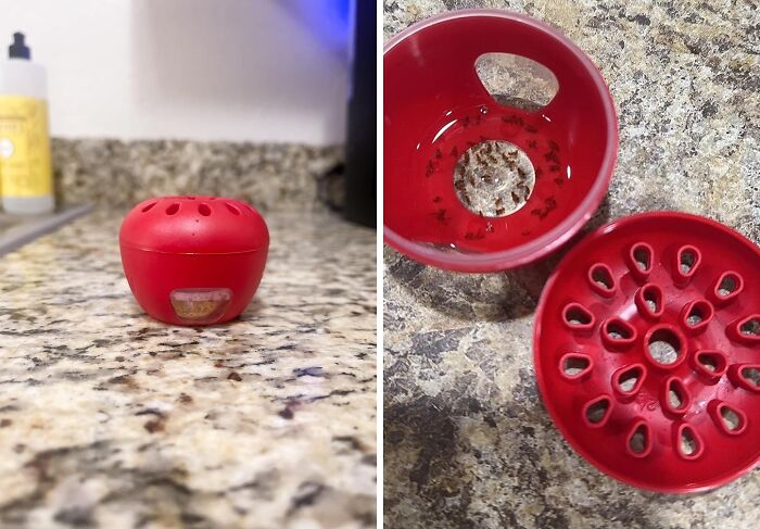 Save Your Charcuterie Board With This Fruit Fly Trap That Blends Right In