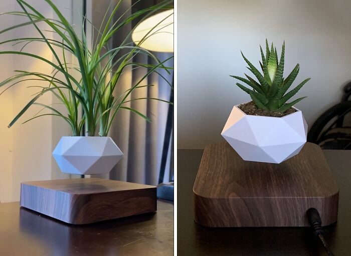 This Levetating Plant Pot Brings A Little Magic To Your Space