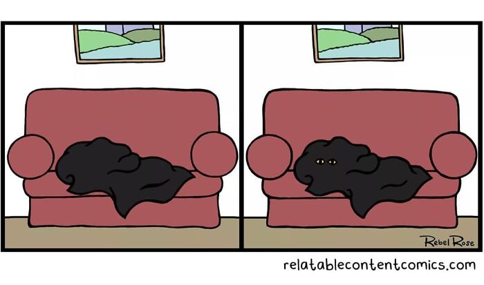23 Adorable Comics About Life With 4 Cats And A Boyfriend, By Rebecca Rose Comics