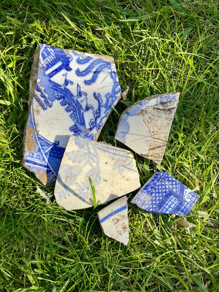 Broken British-style blue and white pottery shards scattered on green grass.