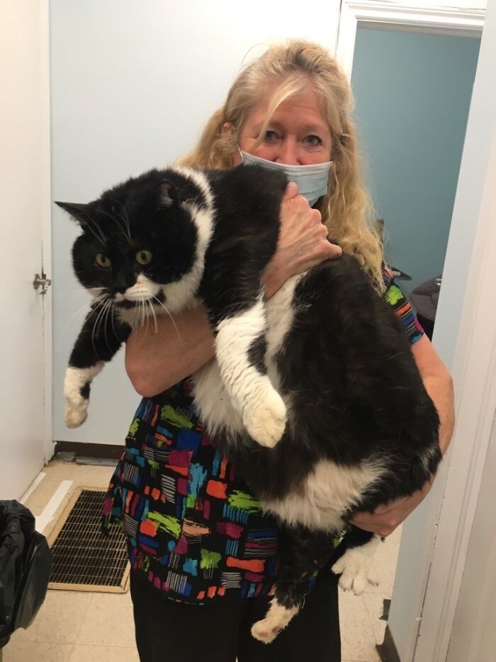 Anyone Missing A Big Boy? This Guy Was Found Alone In The Forest And Is At My Local Humane Society