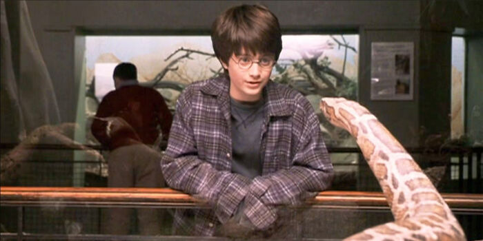 In Harry Potter And The Sorcerer's Stone(2001) Harry Discovers That Snakes Are Fully Sapient And Even Possess Their Own Language, Which He Uses To Converse With A Captive Snake In A Zoo. At No Point Does This Revelation Cause Him Or Anyone Else To Question The Ethics Of Human Treatment Of Animals