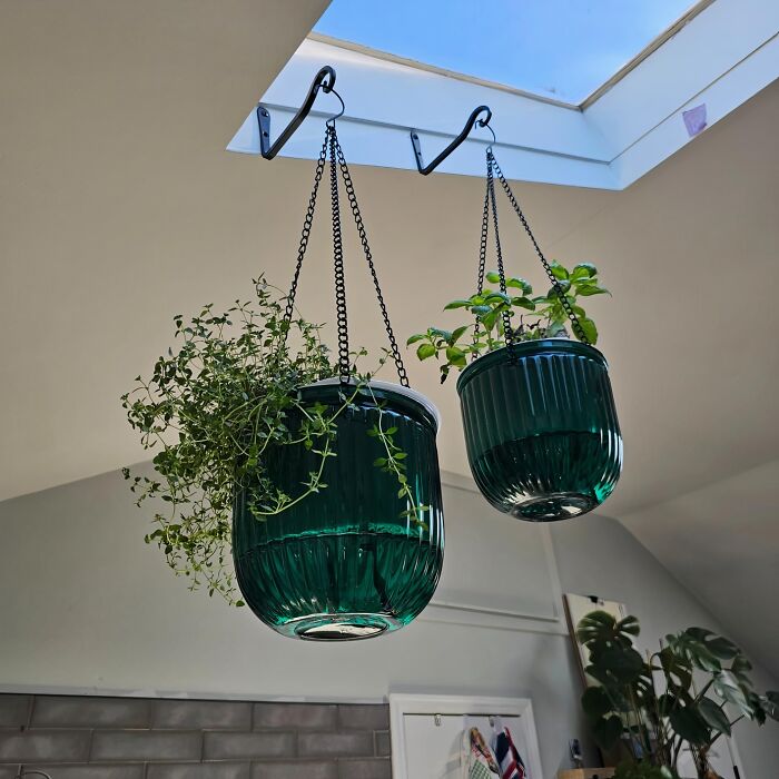 These Self Watering Hanging Planters Will Probably Be The Only Self-Sufficient Thing In Your Home