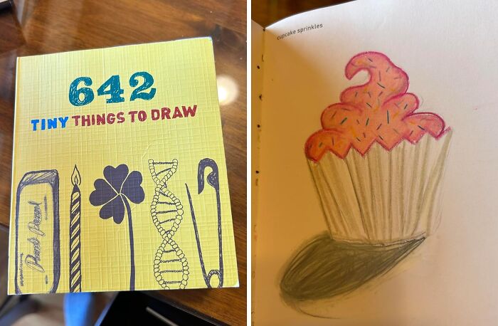 You Won't Turn Into Picasso Overnight, But At Least This 642 Tiny Things To Draw Book Will Keep Your Hands Busy