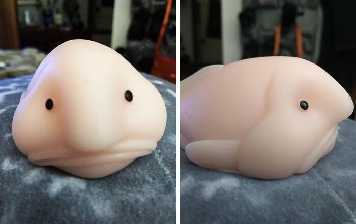  Sunny The Blobfish Squishy Toy : The Ultimate Pick-Me-Up