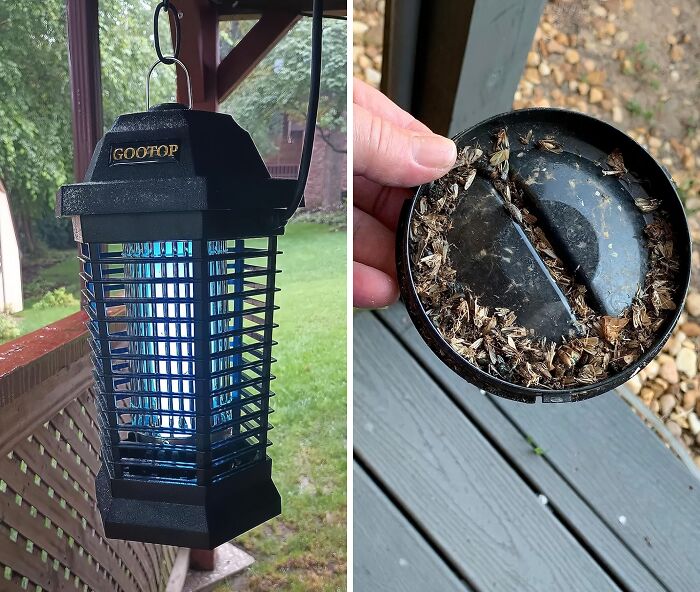 A Bug Zapper Is ASMR For Outdoorsy People