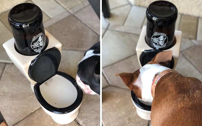 If Their Dog Has Just As Weird A Sense Of Humor As They Do, Get Them This The Toilet Water Dish 