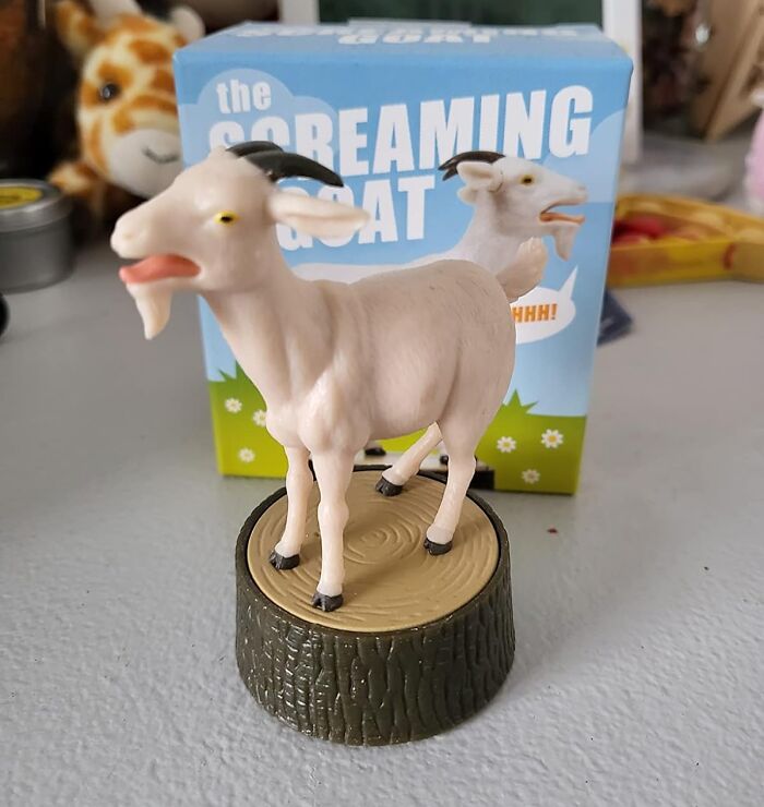Sometimes Only The The Screaming Goat Will Understand Your Frustration