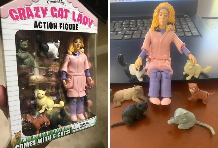  Crazy Cat Lady Action Figure : Although, Crazy Cat Lady Has Become More Of A Goal Than An Insult
