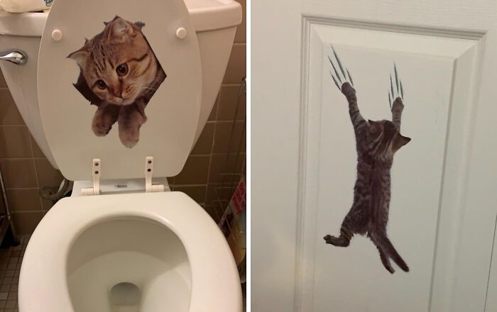 These 3D Removable Cat Stickers Are Sure To Get A Laugh