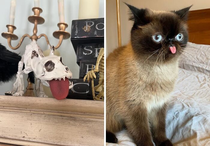 This Fake Tongue Is The New Googly Eyes