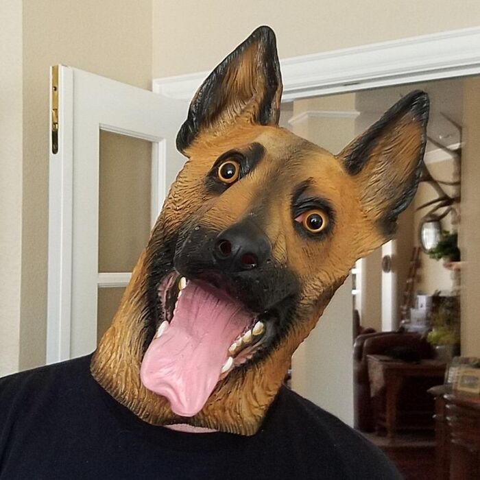 Don't Go Barking Up The Wrong Tree With This Dog Head Mask 