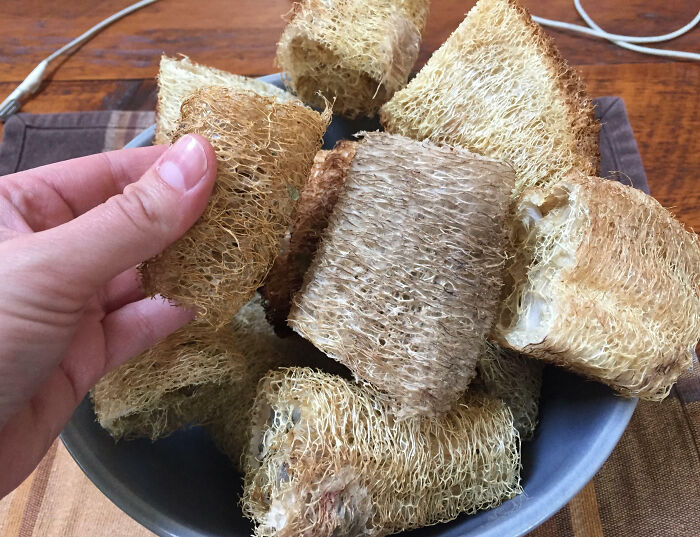 You Can Grow Loofahs, Dry Them And Use Them To Wash Dishes. 5 Plants Make Enough For About 2 Years In Our House. Fully Biodegradable When They're Worn Out