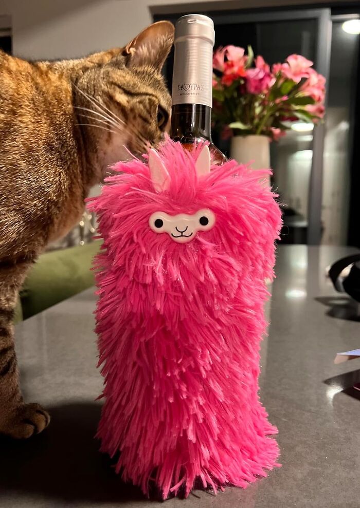 Is This Llama Wine Bottle Cover The New Brown Bag?