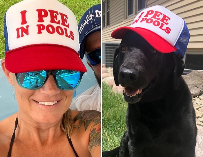  I Pee In Pools Hat : It's Better To Just Be Honest About It!