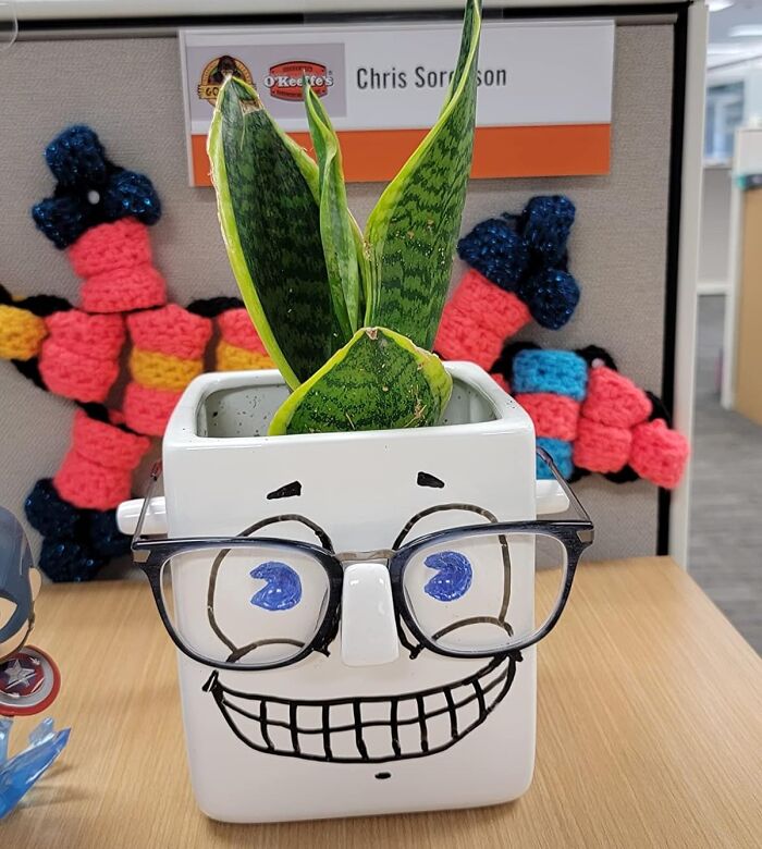 Change Up The Face On Your Desk Daily With This Whiteboard Plant Holder