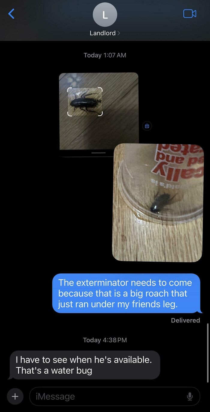 Advice On How To Deal With A Landlord Denying That It Has A Roach Problem