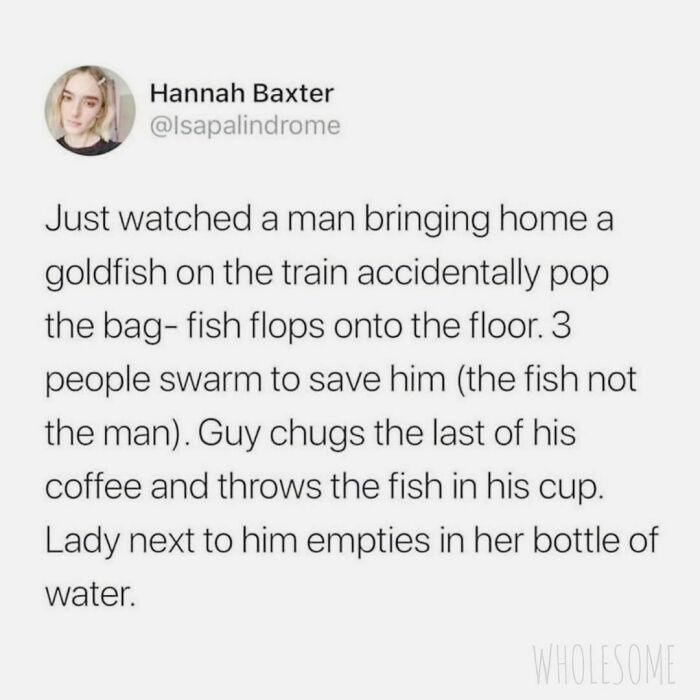 Screenshot of a tweet describing a wholesome story of passengers saving a goldfish on a train using a coffee cup and water bottle.