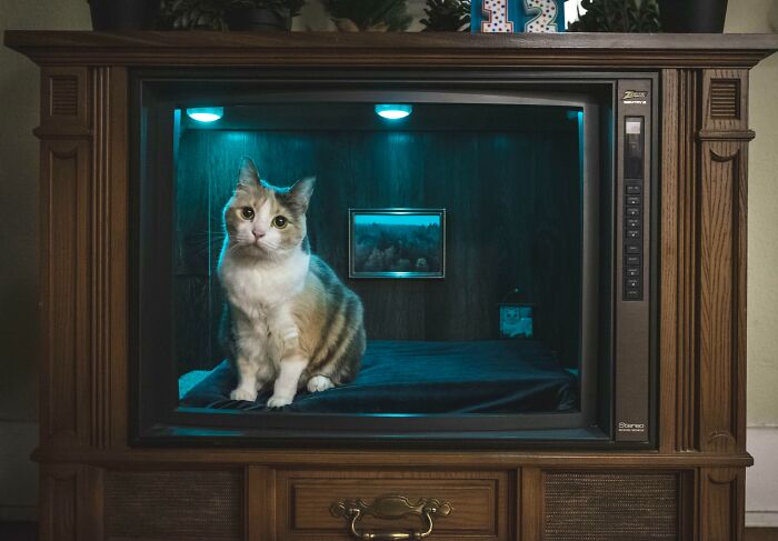 An Old TV Was Repurposed Into A Cat Bed For My Cat’s Birthday