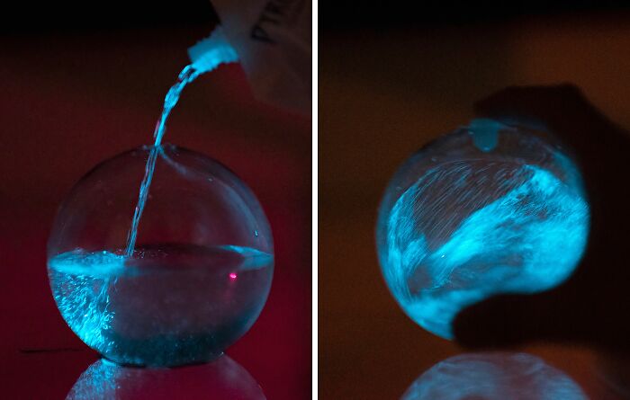 This Bioluminescent Bio-Orb Looks Like It Came Straight Out Of Avatar 