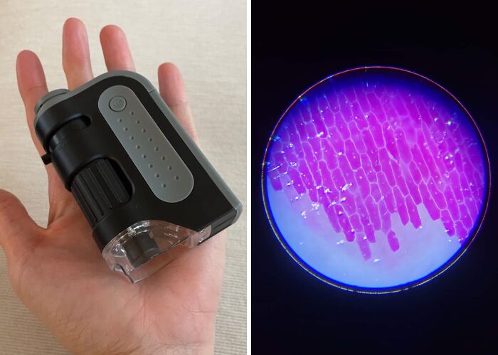 Explore The Minuscule: LED Lighted Pocket Microscope - Portable Science At Your Fingertips