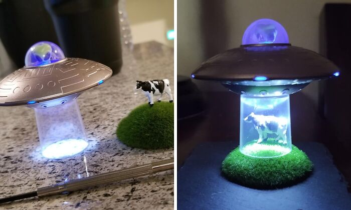  Cow And UFO : Undeniably Funny Office Decor