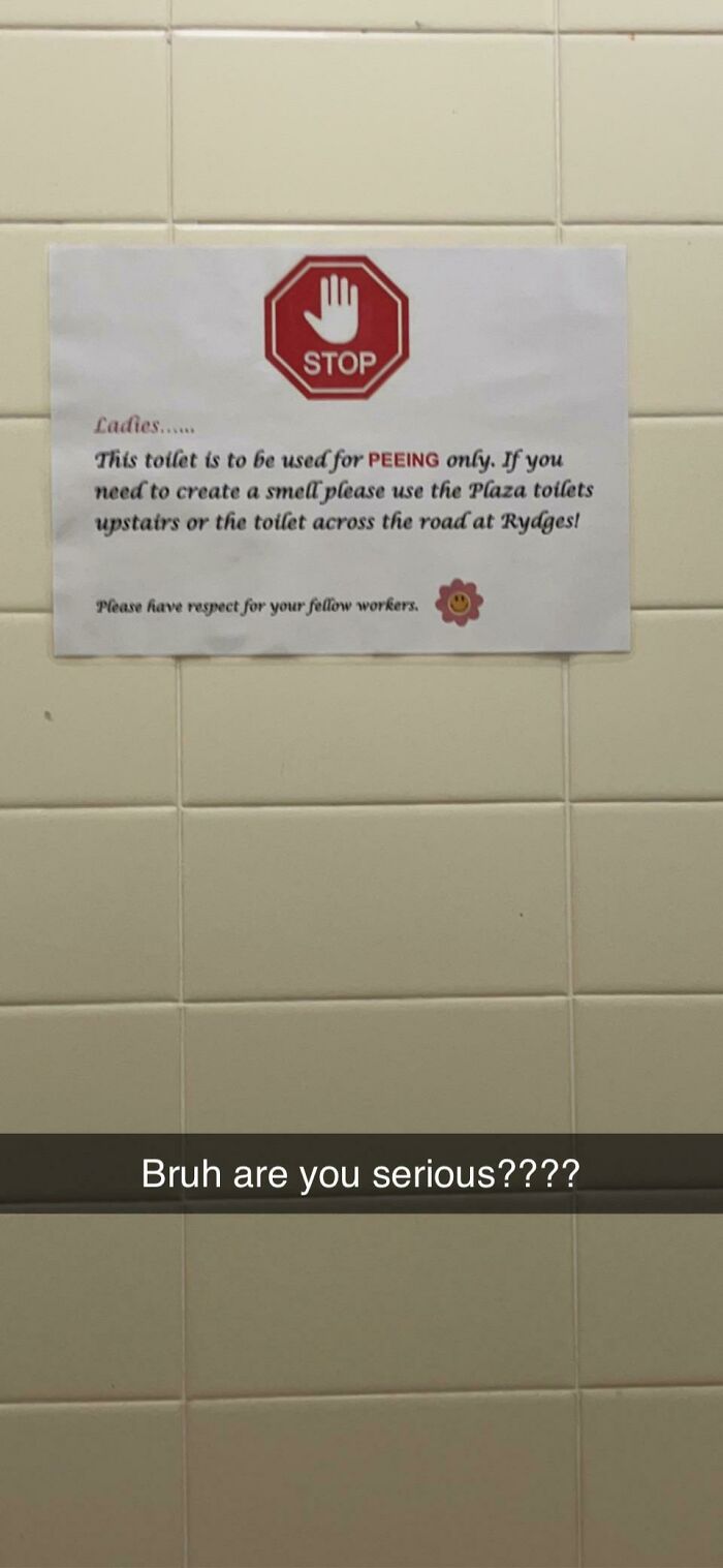 My Work Doesn’t Allow You To Use A Toilet As A Toilet