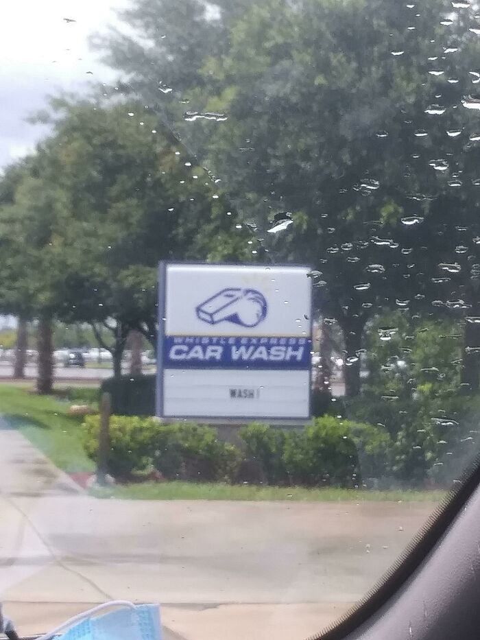 I Wonder What They Do?