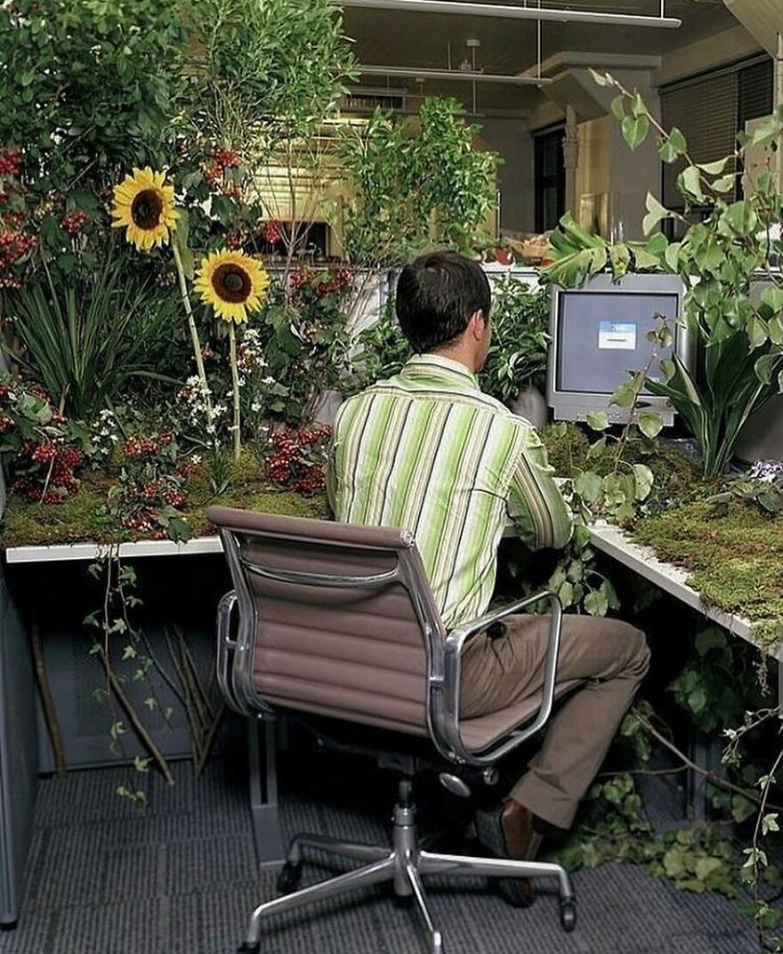 Éco Futurist From The Past Getty Images 2005 #ecofuturism #ecology #ecologie #plants #desksetup #desk #flowers