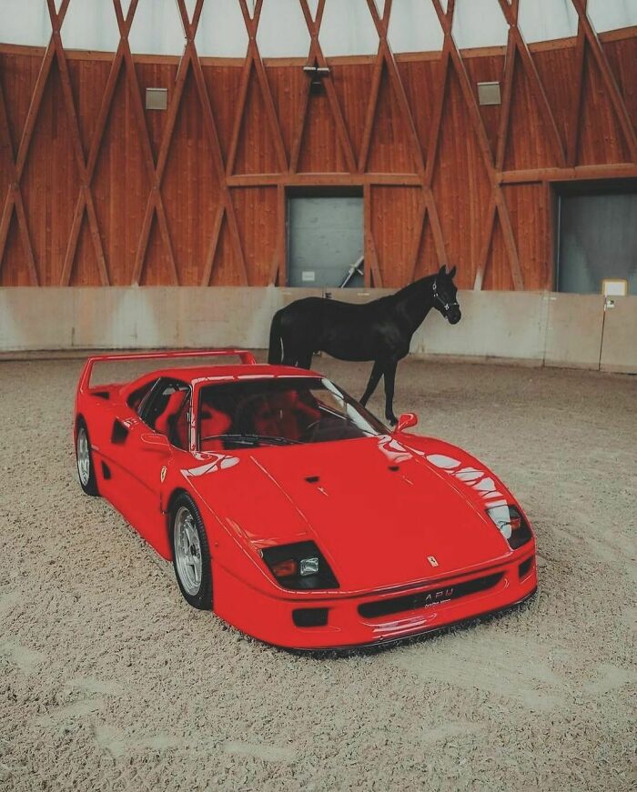 1991 Ferrari F40