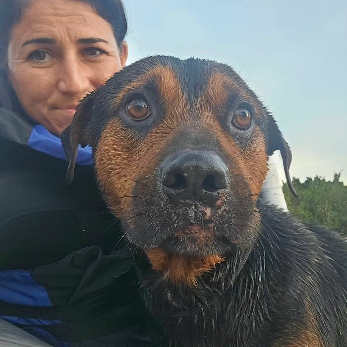 These Dedicated Volunteers Are Rescuing Thousands Of Animals From Rio Grande Do Sul Floods