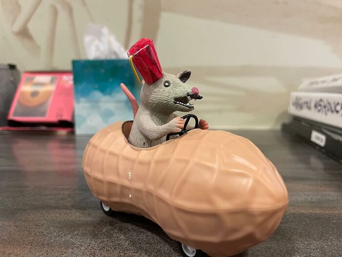 This Classic Possum In A Peanut Pull Back Toy Car Is Always Good For A Laugh