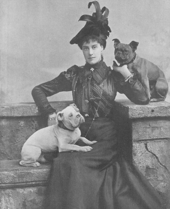 Portrait Of Lady Kathleen Pilkington With 2 Dogs Circa 1903